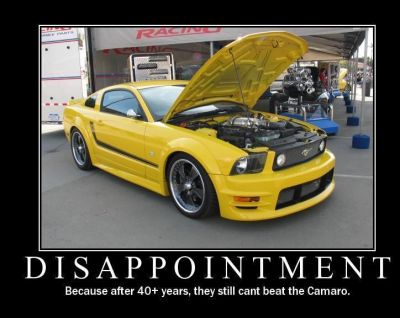 http://www.pnw3.org/imagegallery/albums/userpics/10002/normal_mustangdissappoint.jpg